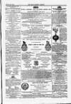 Farmer's Gazette and Journal of Practical Horticulture Saturday 26 March 1864 Page 5