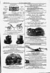 Farmer's Gazette and Journal of Practical Horticulture Saturday 26 March 1864 Page 15