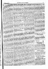 Farmer's Gazette and Journal of Practical Horticulture Saturday 19 January 1867 Page 11