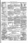 Farmer's Gazette and Journal of Practical Horticulture Saturday 16 February 1867 Page 13