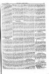 Farmer's Gazette and Journal of Practical Horticulture Saturday 23 February 1867 Page 5