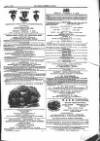 Farmer's Gazette and Journal of Practical Horticulture Saturday 01 June 1867 Page 17