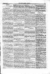 Farmer's Gazette and Journal of Practical Horticulture Saturday 29 June 1867 Page 5