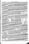 Farmer's Gazette and Journal of Practical Horticulture Saturday 07 September 1867 Page 19