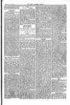 Farmer's Gazette and Journal of Practical Horticulture Saturday 13 February 1869 Page 11