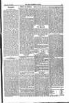 Farmer's Gazette and Journal of Practical Horticulture Saturday 22 January 1870 Page 15