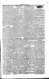 Dublin Morning Register Wednesday 01 February 1826 Page 3