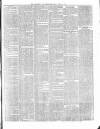 Catholic Telegraph Saturday 03 June 1865 Page 3