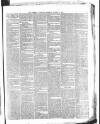Catholic Telegraph Saturday 06 January 1866 Page 3