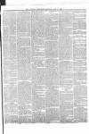 Catholic Telegraph Saturday 12 May 1866 Page 5