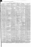 Catholic Telegraph Saturday 12 May 1866 Page 7