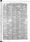 Catholic Telegraph Saturday 22 September 1866 Page 8