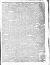 Catholic Telegraph Saturday 01 June 1867 Page 3