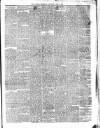 Catholic Telegraph Saturday 15 June 1867 Page 3