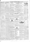 Enniskillen Chronicle and Erne Packet Thursday 05 September 1844 Page 3