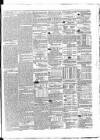 Enniskillen Chronicle and Erne Packet Thursday 06 November 1862 Page 3