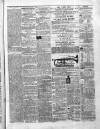 Enniskillen Chronicle and Erne Packet Monday 18 April 1864 Page 3