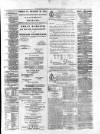 Enniskillen Chronicle and Erne Packet Thursday 09 January 1868 Page 3