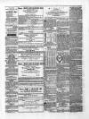 Enniskillen Chronicle and Erne Packet Monday 08 February 1869 Page 3