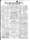 Enniskillen Chronicle and Erne Packet Monday 14 June 1880 Page 1