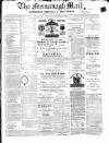 Enniskillen Chronicle and Erne Packet Monday 08 November 1880 Page 1