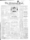 Enniskillen Chronicle and Erne Packet Thursday 11 November 1880 Page 1
