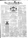 Enniskillen Chronicle and Erne Packet Monday 22 November 1880 Page 1