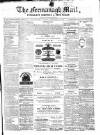 Enniskillen Chronicle and Erne Packet Monday 29 November 1880 Page 1