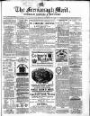 Enniskillen Chronicle and Erne Packet Monday 23 January 1882 Page 1
