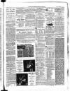 Enniskillen Chronicle and Erne Packet Thursday 09 February 1888 Page 3