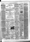Enniskillen Chronicle and Erne Packet Thursday 01 November 1888 Page 3
