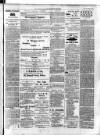 Enniskillen Chronicle and Erne Packet Monday 24 December 1888 Page 3