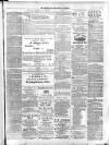 Enniskillen Chronicle and Erne Packet Monday 31 December 1888 Page 3