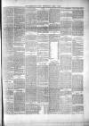 Enniskillen Chronicle and Erne Packet Wednesday 09 April 1890 Page 3