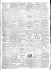 Limerick Evening Post Friday 19 December 1828 Page 3