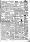 Limerick Evening Post Tuesday 21 December 1830 Page 3