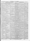 Newry Examiner and Louth Advertiser Wednesday 25 March 1868 Page 3