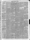 Newry Examiner and Louth Advertiser Wednesday 19 January 1870 Page 3