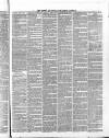 Newry Examiner and Louth Advertiser Wednesday 16 February 1870 Page 4