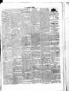 Roscommon Journal, and Western Impartial Reporter Saturday 12 February 1848 Page 3