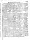 Roscommon Messenger Saturday 22 October 1864 Page 5