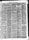 Roscommon Messenger Saturday 17 December 1864 Page 7