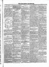 Roscommon Messenger Saturday 01 April 1865 Page 5