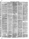 Roscommon Messenger Saturday 01 April 1865 Page 7