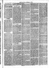 Roscommon Messenger Saturday 29 April 1865 Page 3