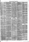 Roscommon Messenger Saturday 27 May 1865 Page 7