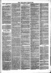 Roscommon Messenger Saturday 04 November 1865 Page 7
