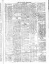 Roscommon Messenger Saturday 28 April 1866 Page 3