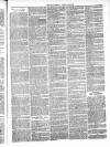 Roscommon Messenger Saturday 01 June 1867 Page 3
