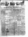 Kerry Examiner and Munster General Observer Tuesday 11 May 1847 Page 1